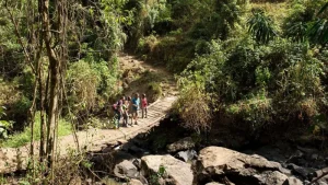 Terletak di hutan eponymous, Lephis adalah surga bagi para trekker dan pecinta alam.